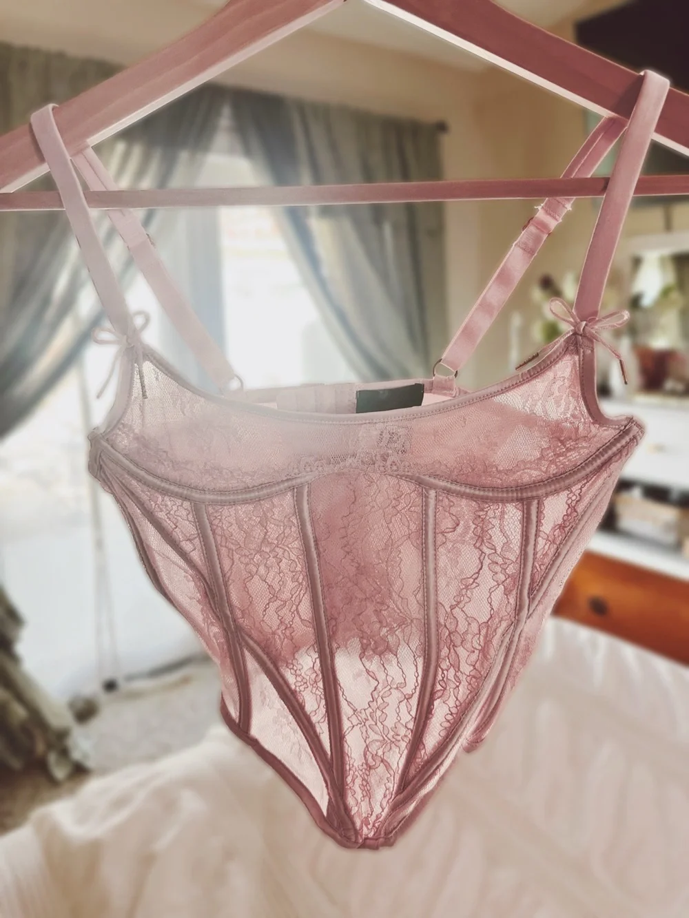 Sheer Lace Corset - Blush Pink